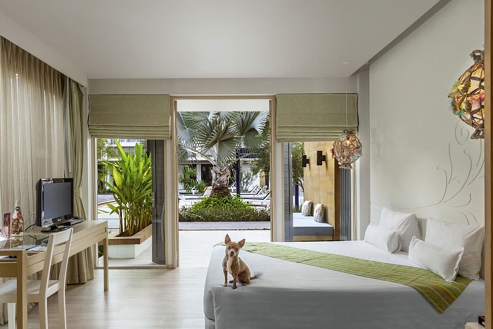 The Lapa Hotel 14/39