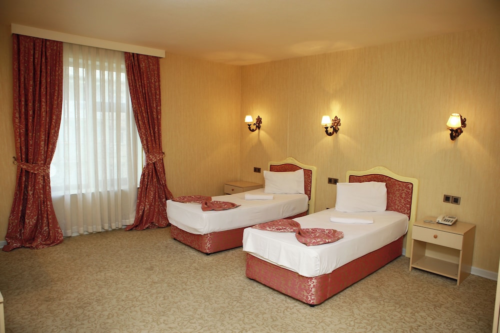 Deluxe Hotel Ganja 25/55