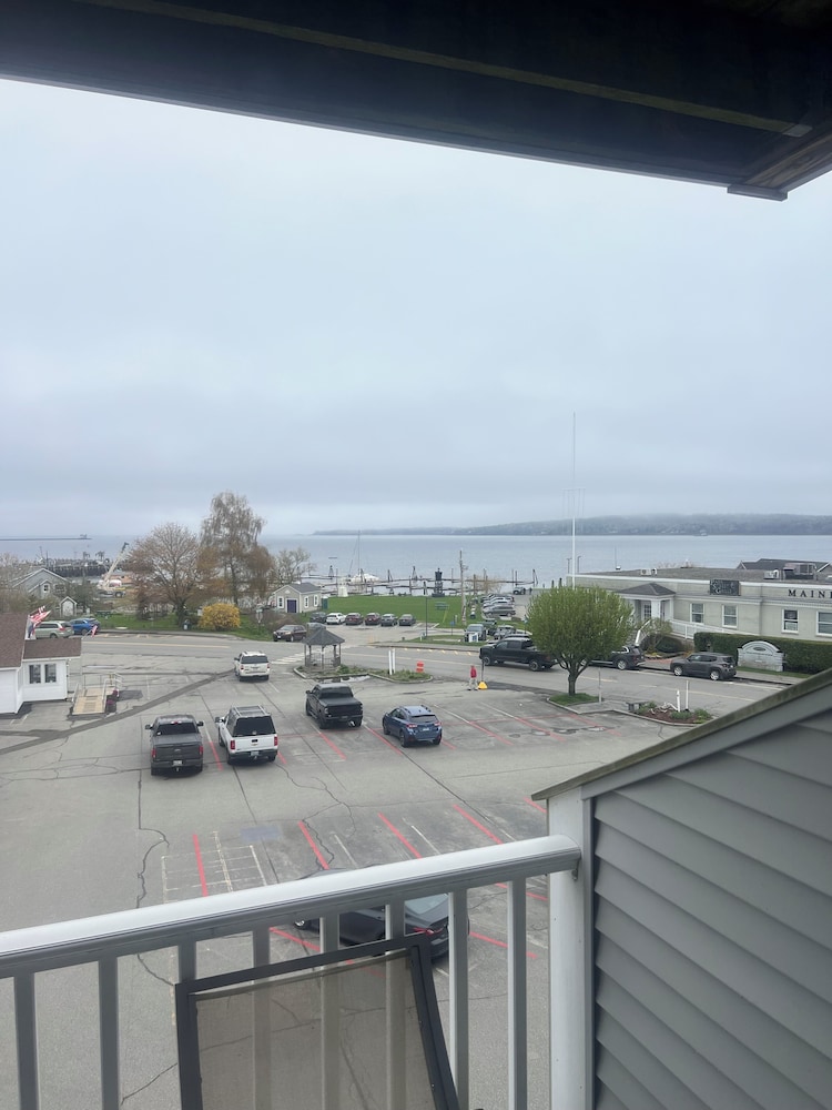 Trade Winds On The Bay 74/81