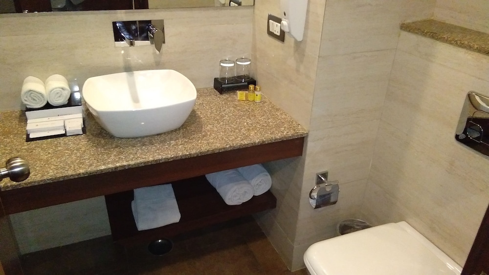 Ascent Biz Hotel 43/44