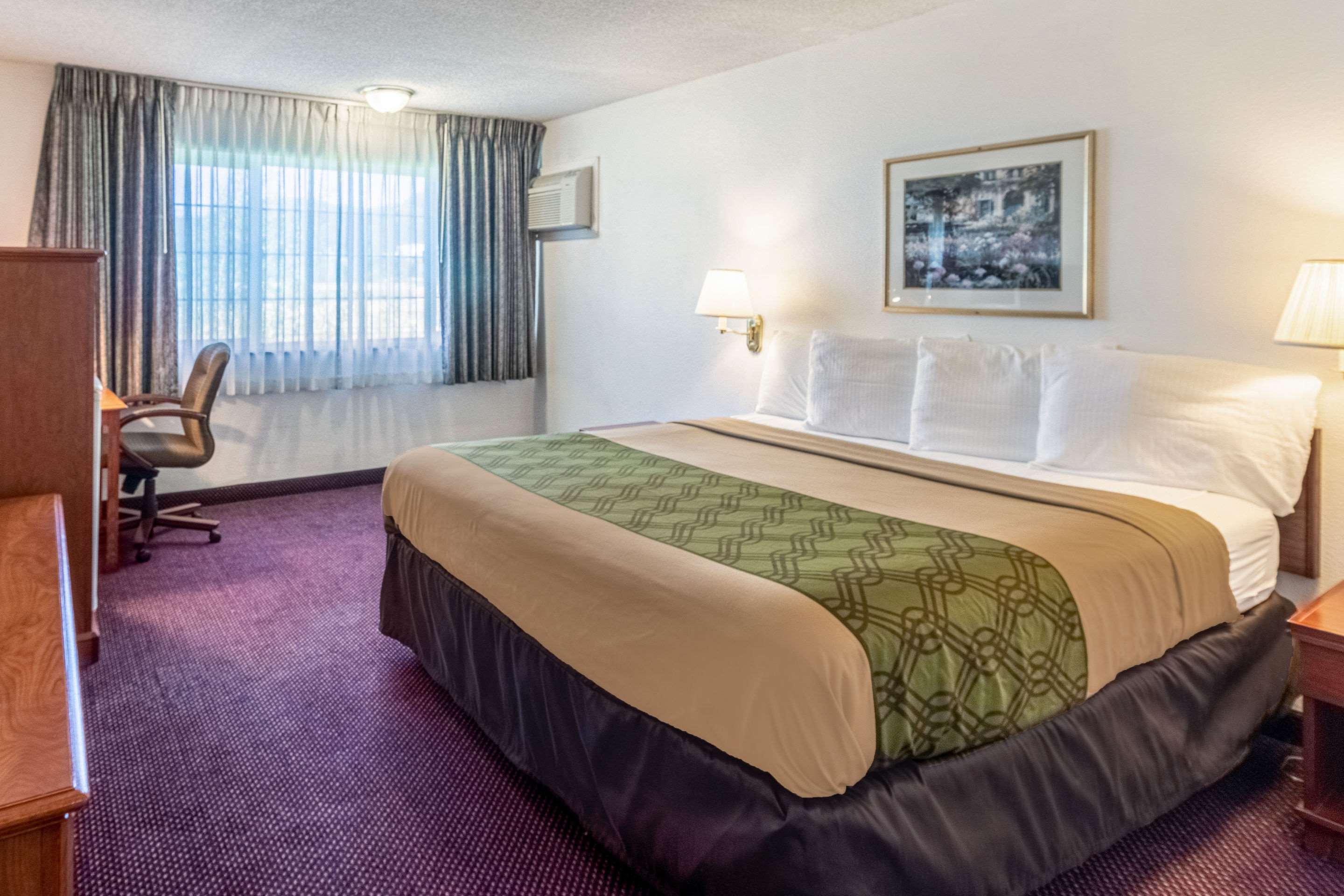Room, King Bed