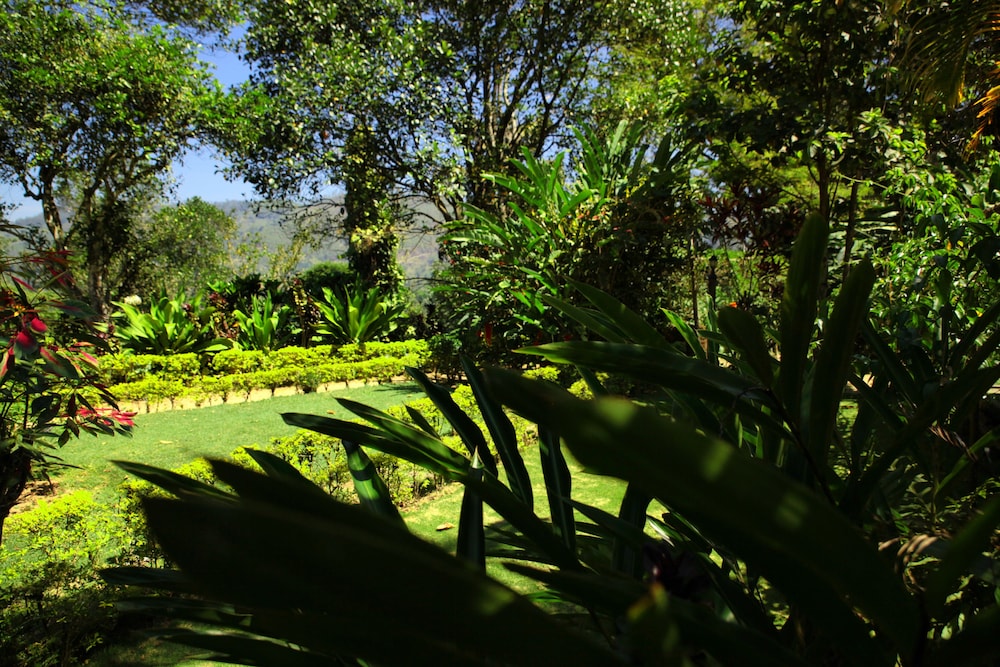 Sunnyside Holiday Bungalow 19/34