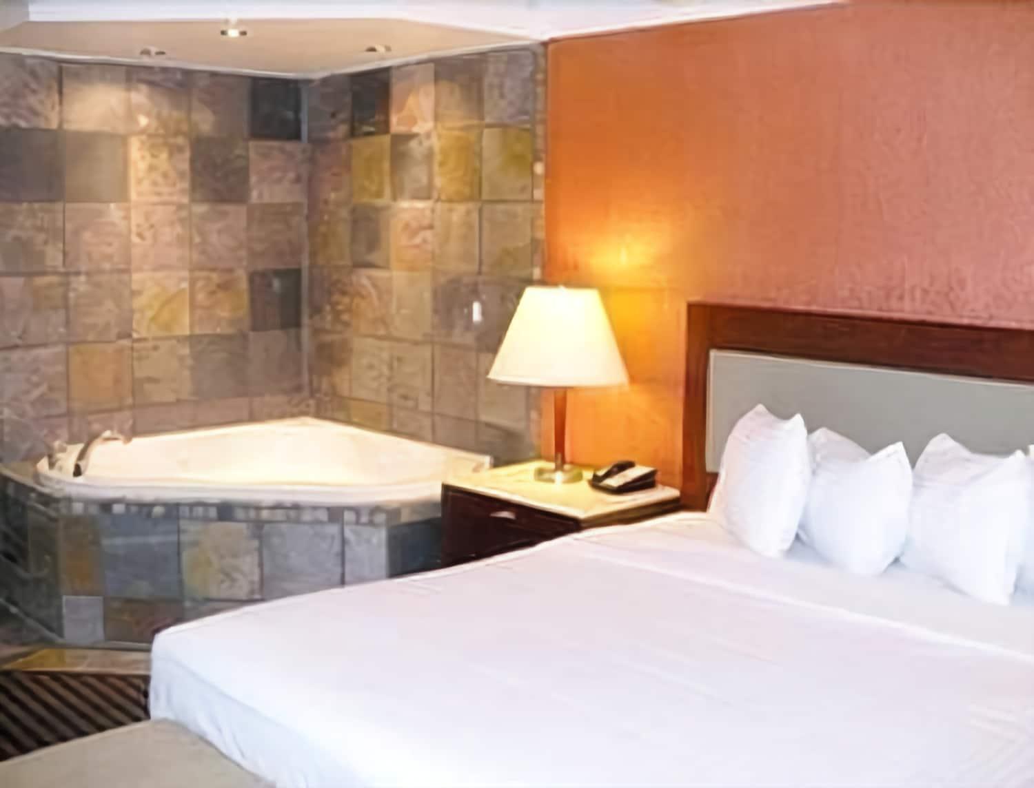 Lexington Inn And Suites-N.W. Chicago/Elgin 14/20