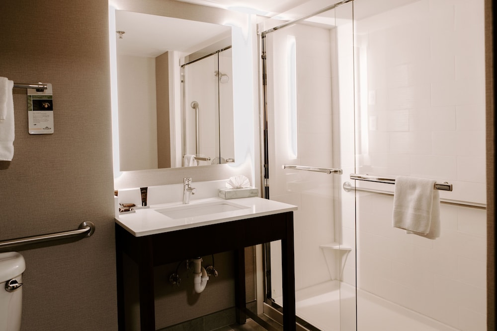 Wingate by Wyndham Chantilly / Dulles Airport 18/48