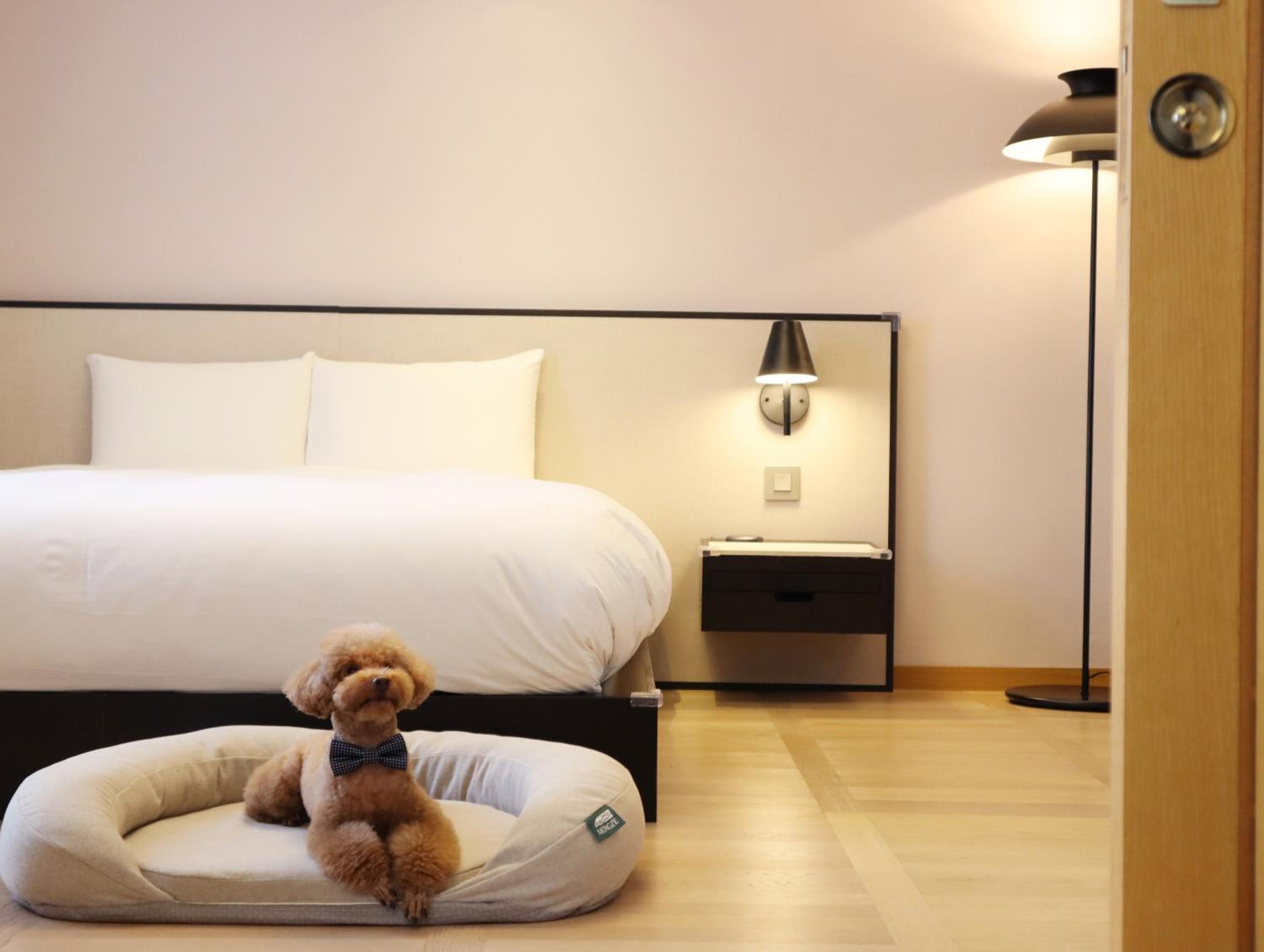 Ondol, Heritage, Suite, Pet Friendly
