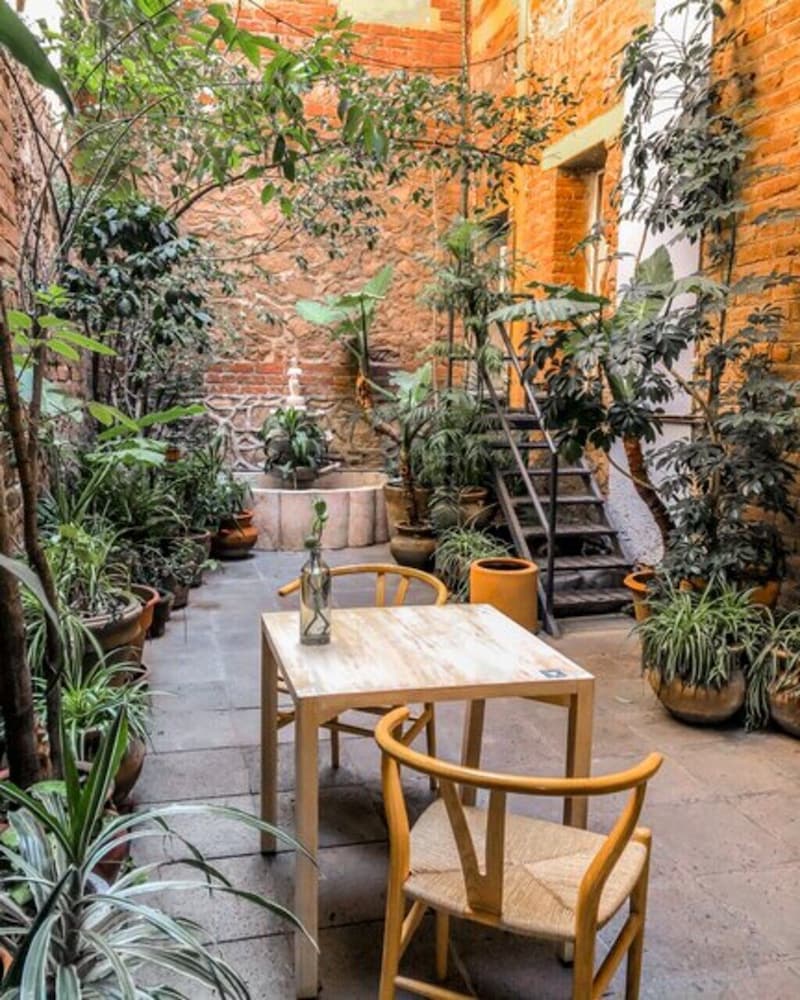 El Patio 77 40/50