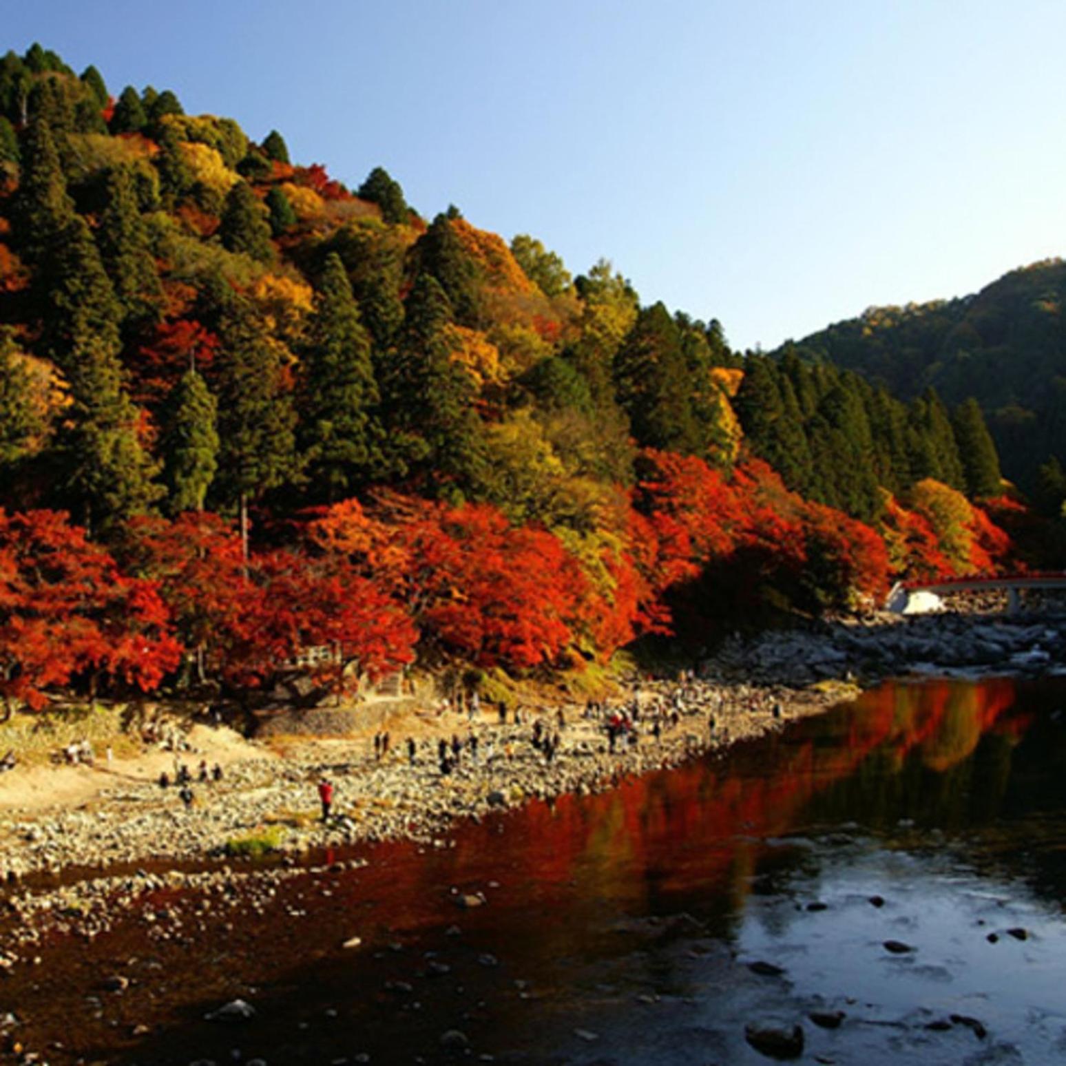 Kyukamura Chausuyama-Kogen 47/63