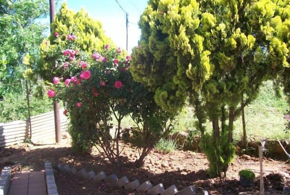 Aligeo Hotel 20/26