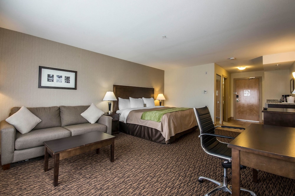 Comfort Inn & Suites Surrey 33/60