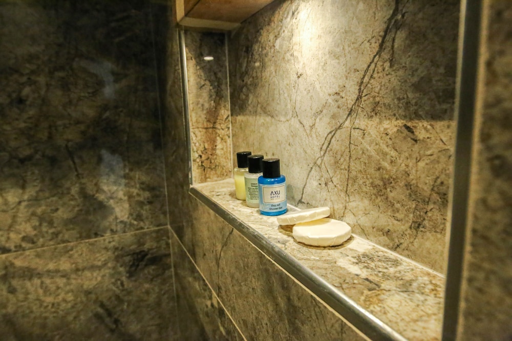 Axu Istanbul Airport Hotel 38/60