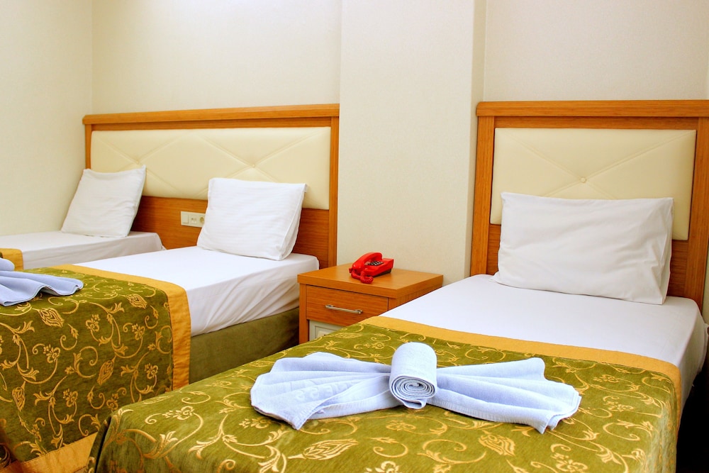 Hotel Buyuk Paris 17/50