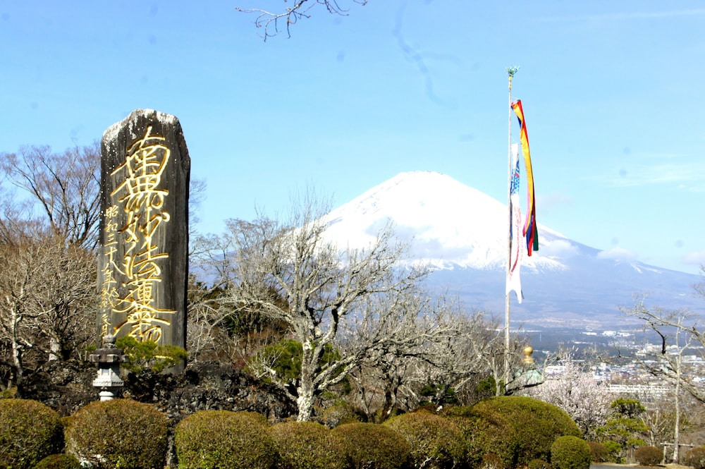 Glamping Fuji-no-Kirameki Fuji Gotemba 40/50