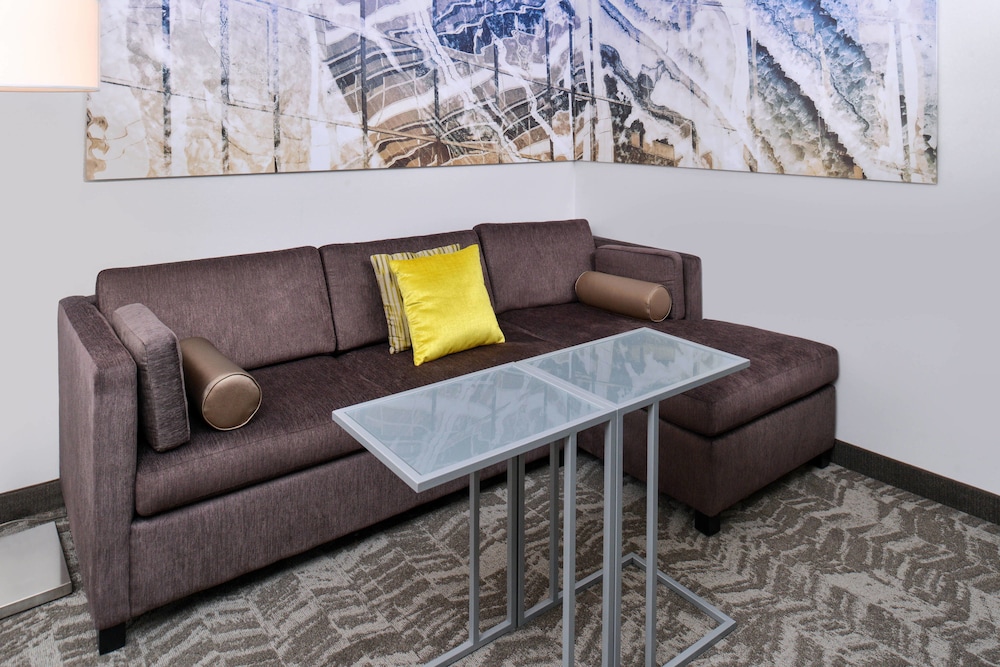 SpringHill Suites by Marriott Detroit Metro Airport Romulus 30/47