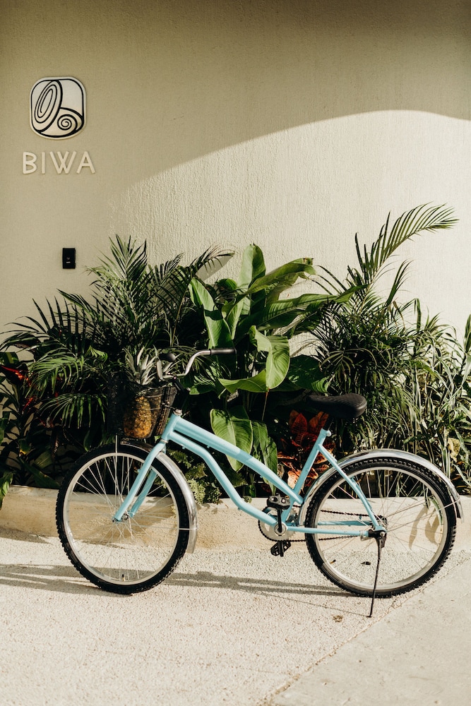Biwa Tulum 25/50