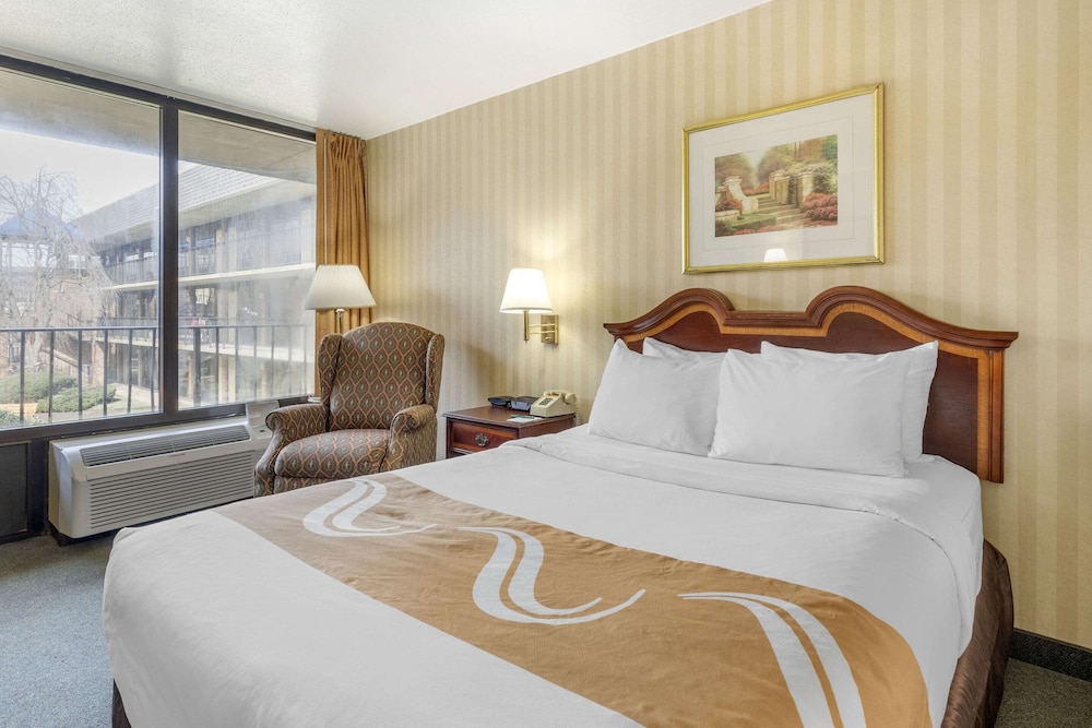 Standard, Queen Bed, Area View