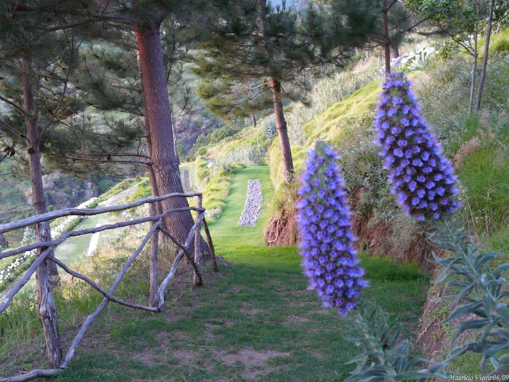Jardim Atlantico 21/63