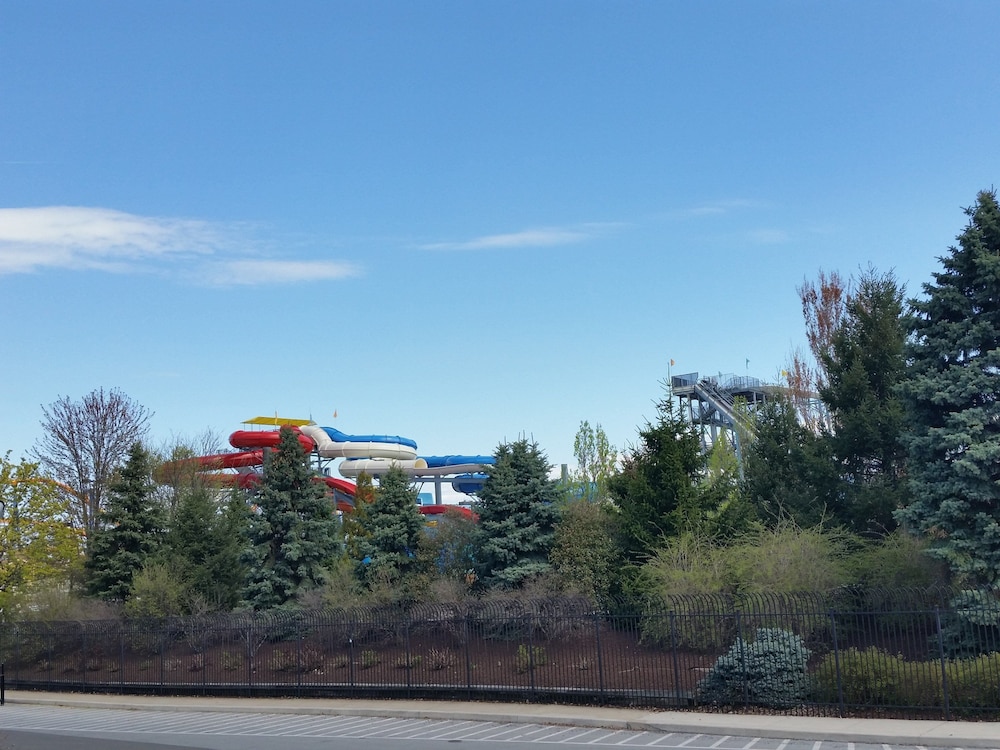 surroundings