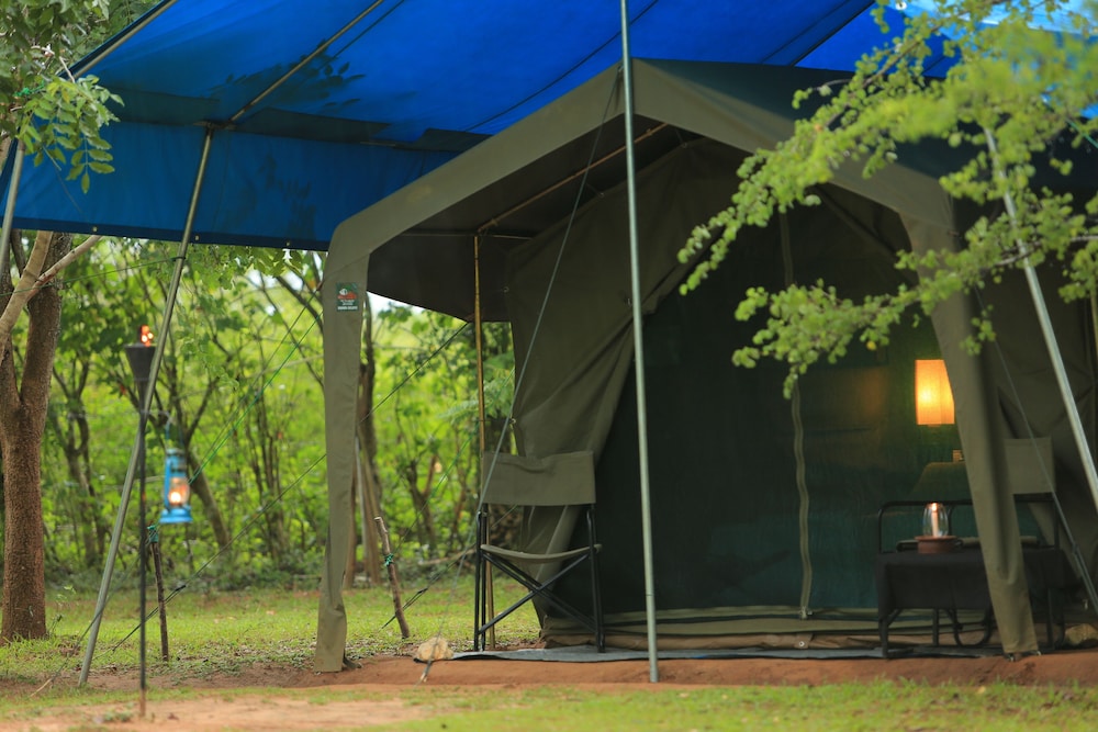 Big Game Camp Wilpattu 3/50