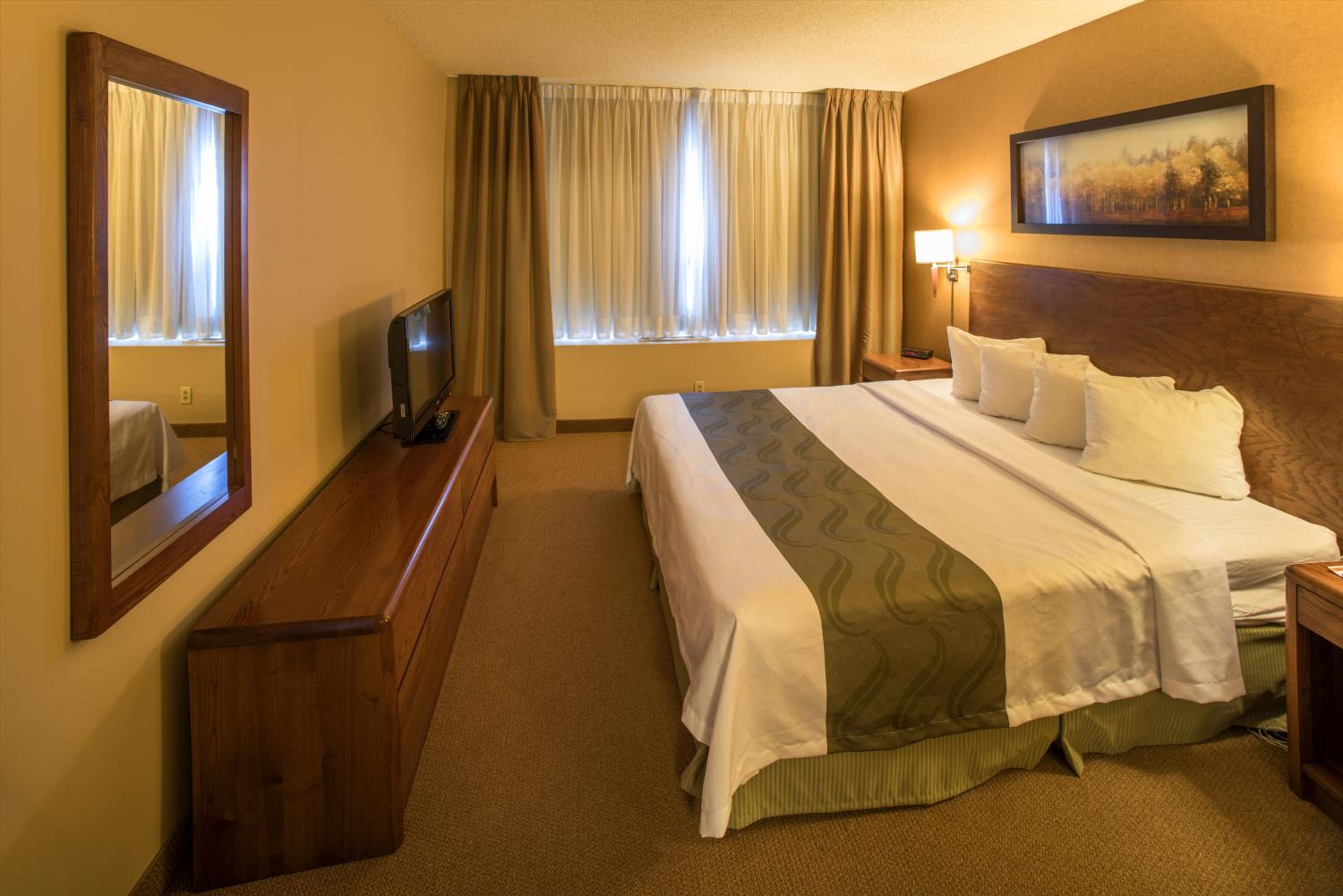 SUITE, KING BED