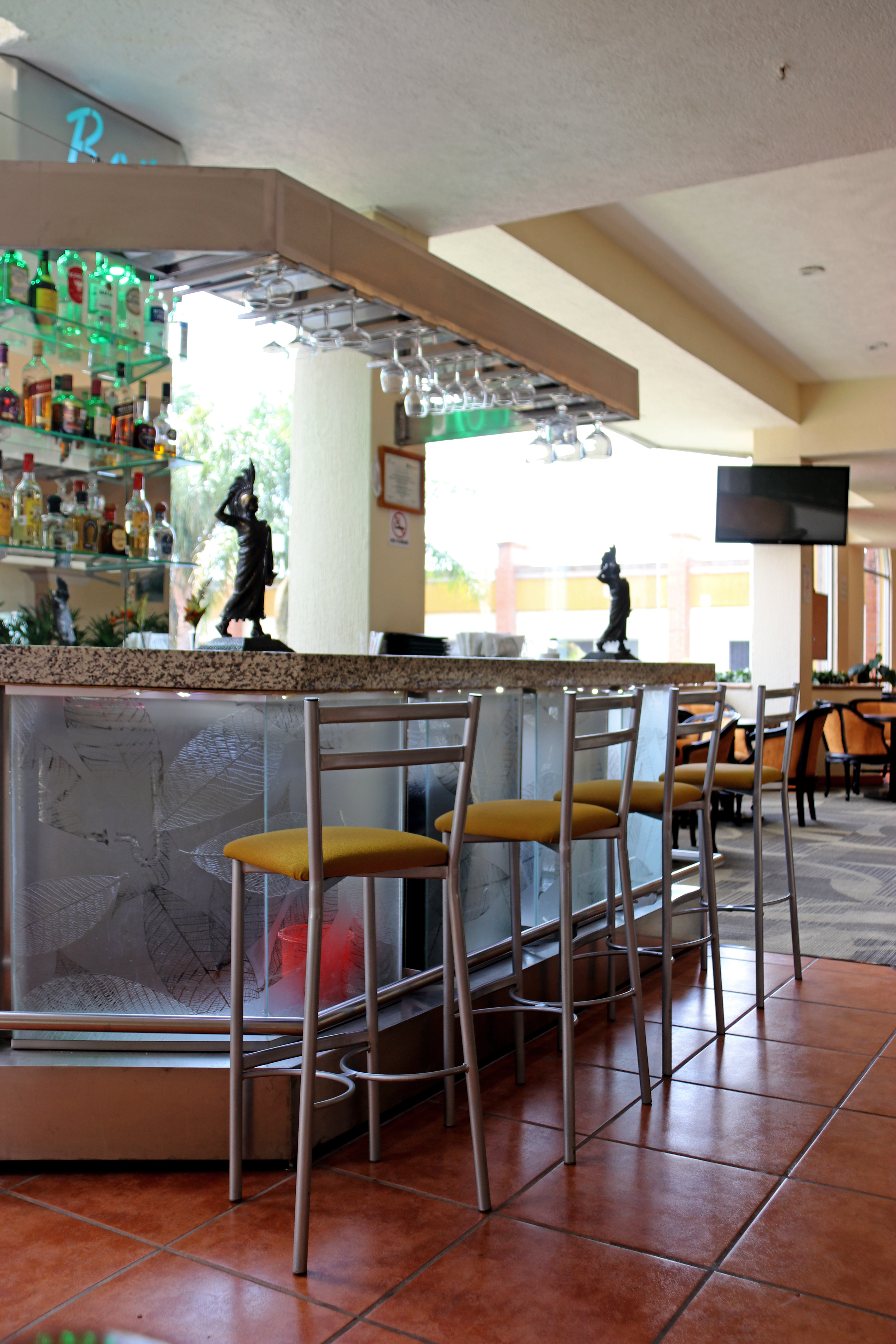 Holiday Inn La Piedad 35/55