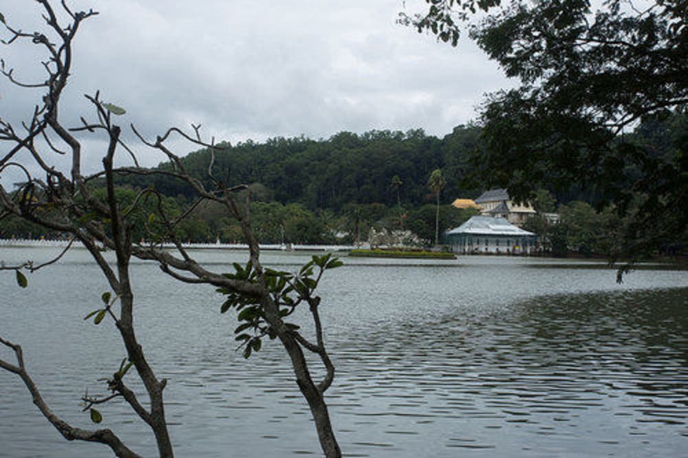 Heaven Seven Kandy 58/64