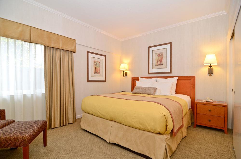 Suite, King Bed