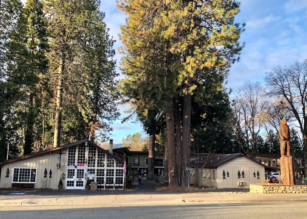 Shasta Inn 5/46