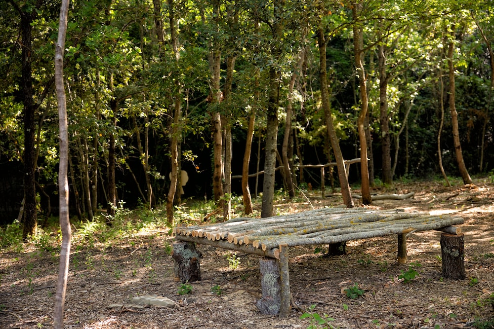 Il Poggio Degli Olivi 34/50