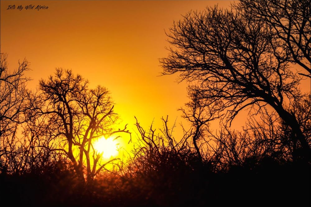 Baobab Ridge Private Lodge 48/50