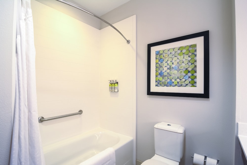 Holiday Inn Express Hotel Suites Tampa Usf Busch Gardens 35/70