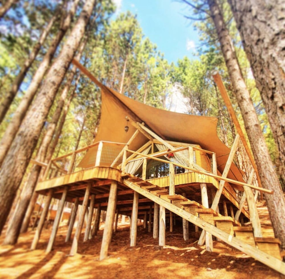 Tedesco Eco Park 6/60