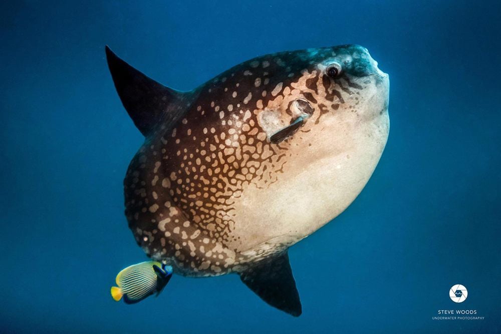 ニュ ガディン ホームステイ レンボンガン 写真4