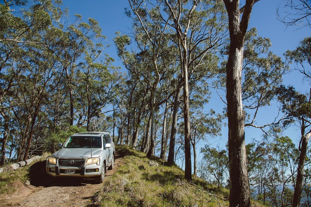 Spicers Peak Lodge 5/82