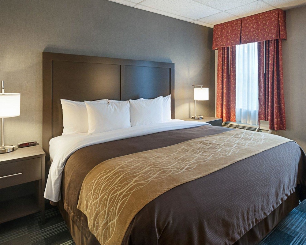 Comfort Inn Ballston 14/42
