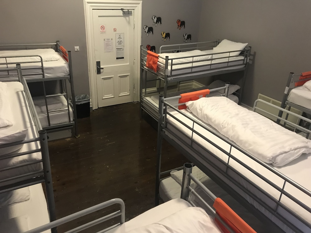 Albatross Hostel 14/28