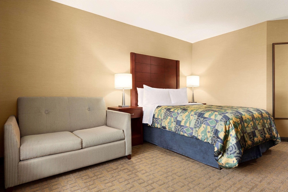 Efficiency, King Bed, Sofa