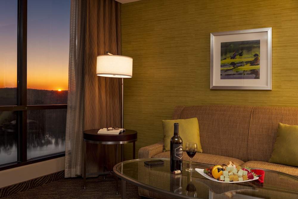 Holiday Inn Austin Town Lake Hotel 37/50