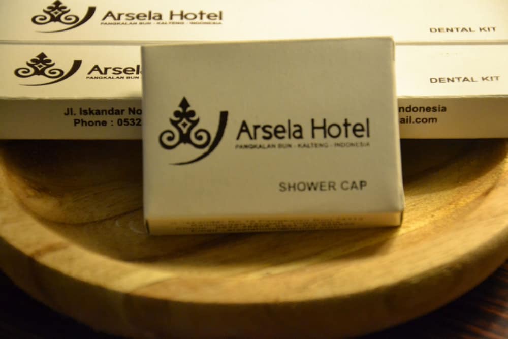 ARSELA HOTEL PANGKALAN BUN 15/42