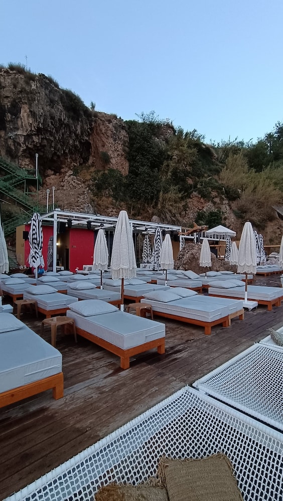 Lucky Monkey Hotel 6/50
