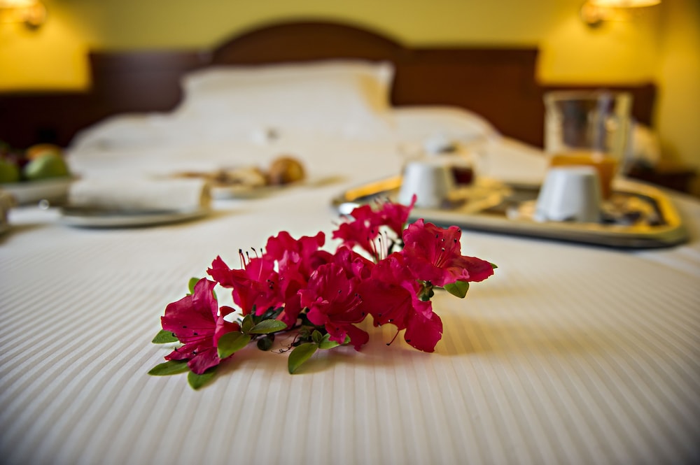 Hotel Cinzia 26/50