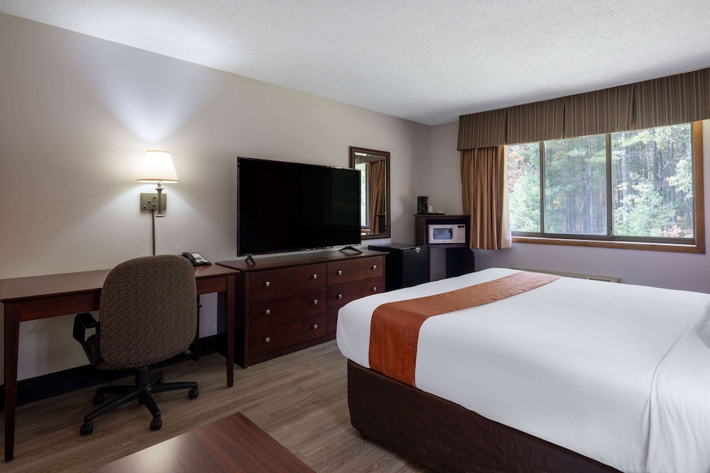 Room, King Bed