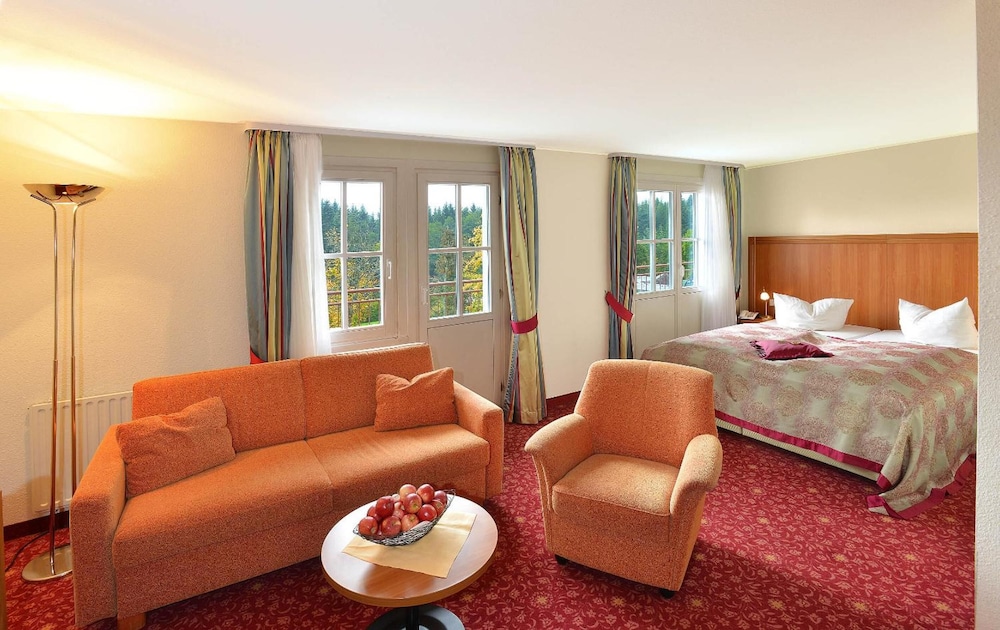 Schwarzwald Park Hotel 21/65