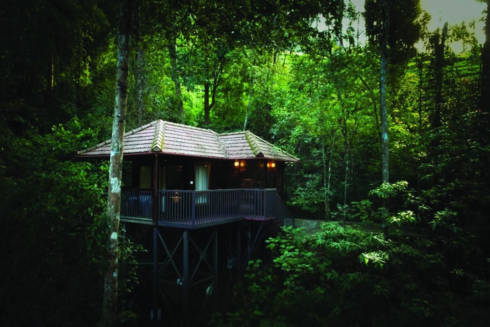 Wild Planet Jungle Resort 8/50