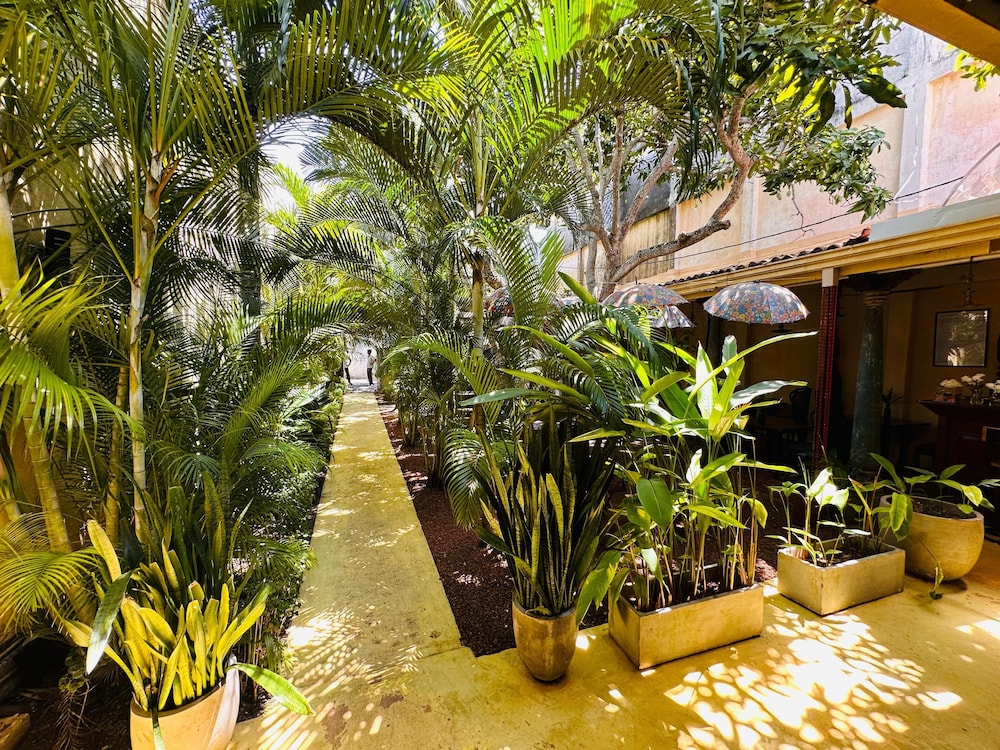 Mango House 66/71