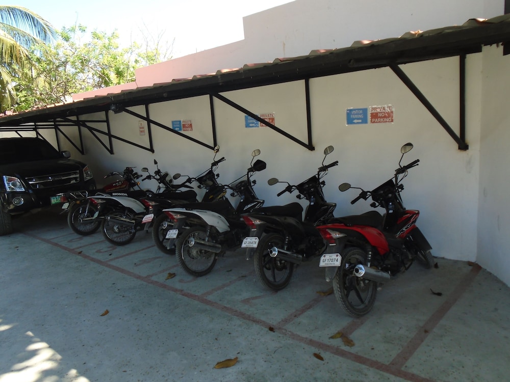 Parrot Resort Moalboal 25/50