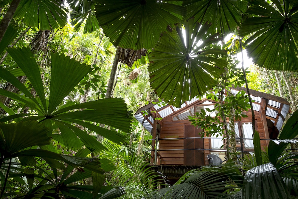 Daintree Wilderness Lodge 32/34