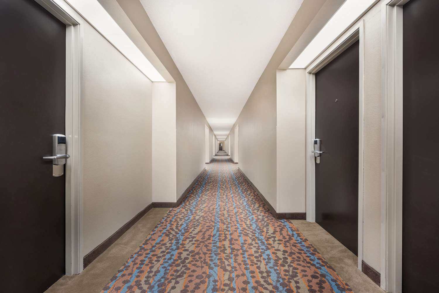 Sleep Inn Athens I-65 12/21