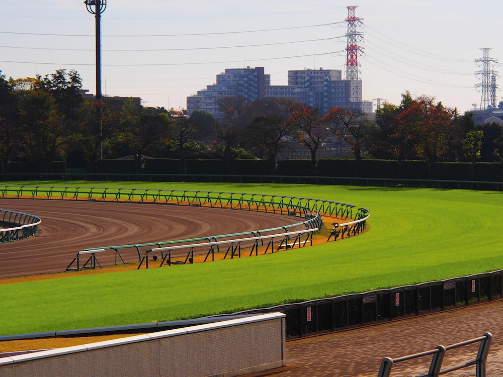 Toyoko Inn Nishi-Funabashi Baraki Inter 38/49
