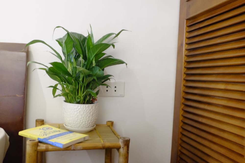 A Green Home 3/30
