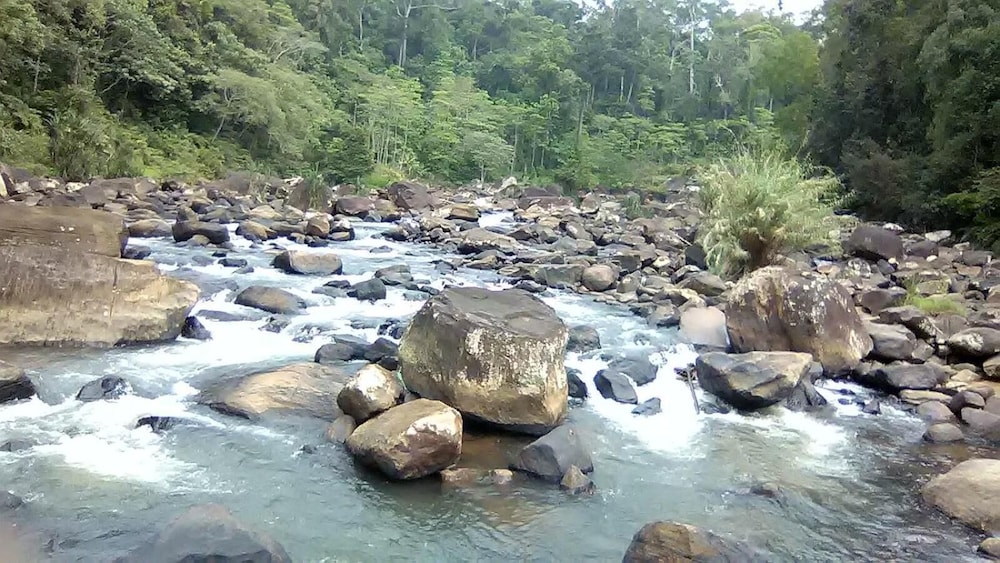 Sinharaja Rainforest View Villas 35/50